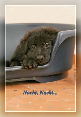 Krbchen_mg