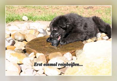 brunnen2_Frame_mg