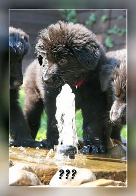 brunnen4_Frame_mg