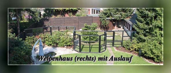 welpenbereich - bersicht_mg1